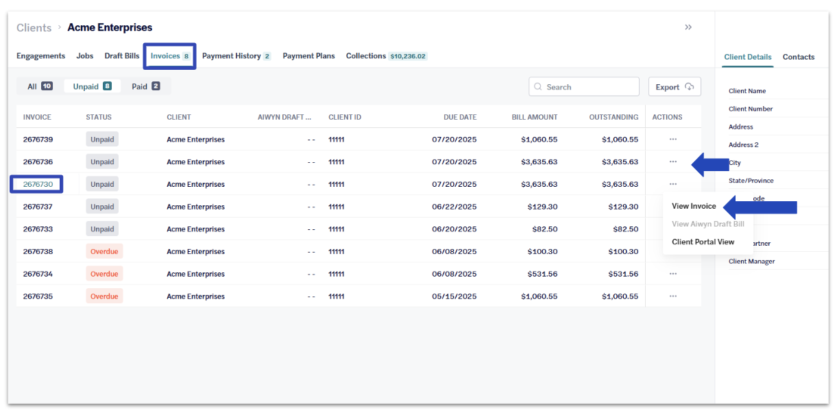 Demo Firm Portal - View invoice PDF - Client details.png