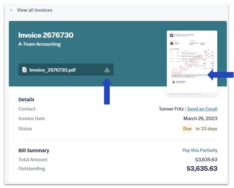 client portal - view one invoice pdf.png