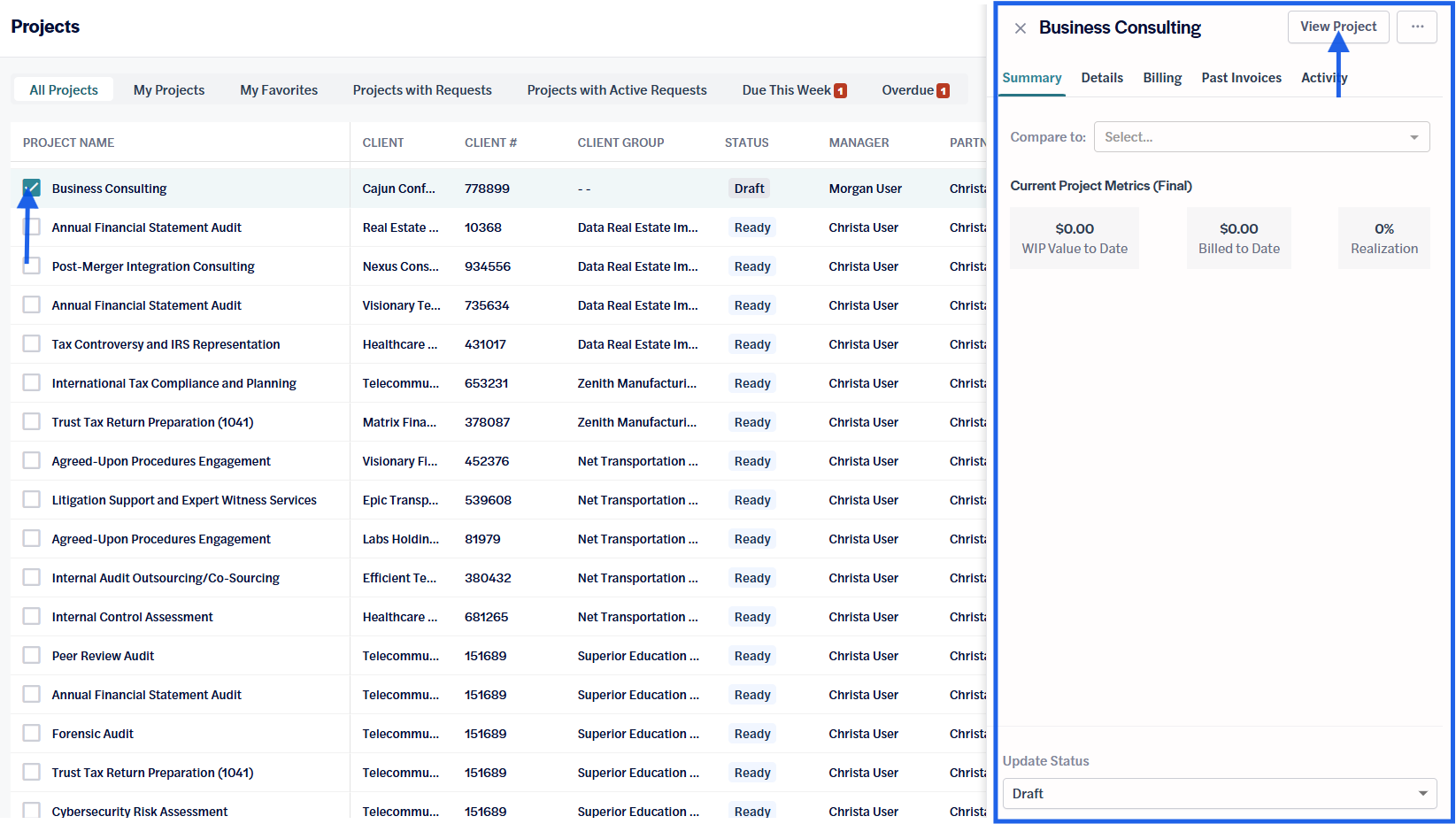 Projects- project details side panel.png